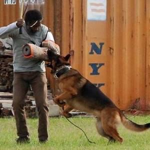 Meet your Posher, Armando